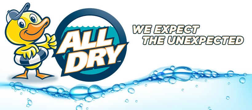 All Dry Services - Banner