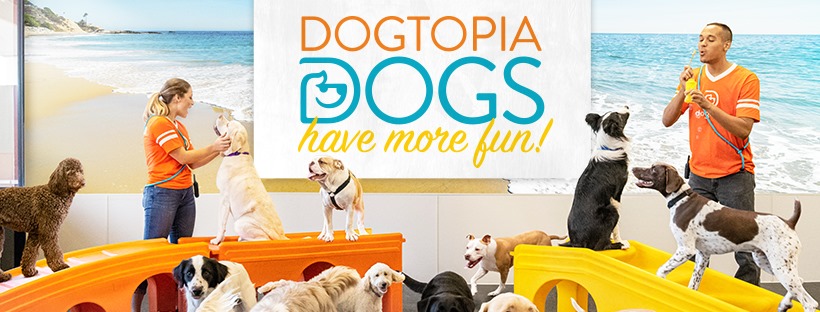 Dogtopia - Banner