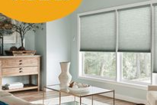 Bumble Bee Blinds - Slide 1